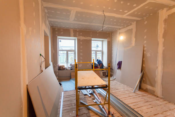 Professional Mold Removal in Breckenridge, MN